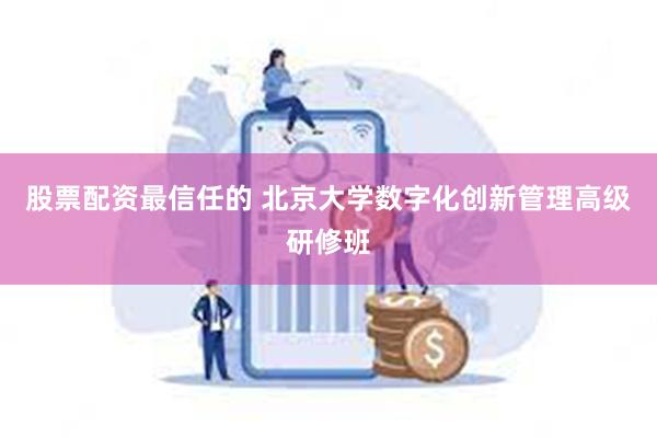 股票配资最信任的 北京大学数字化创新管理高级研修班