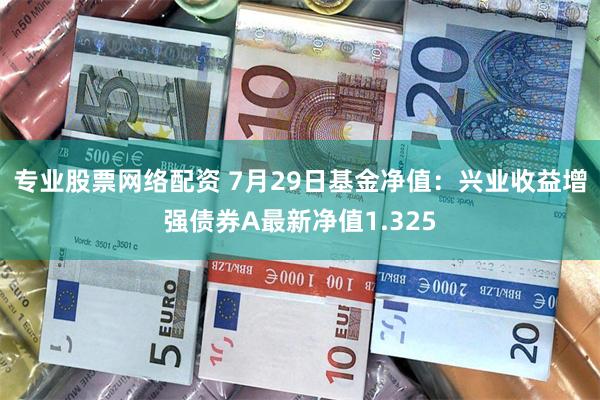 专业股票网络配资 7月29日基金净值：兴业收益增强债券A最新净值1.325