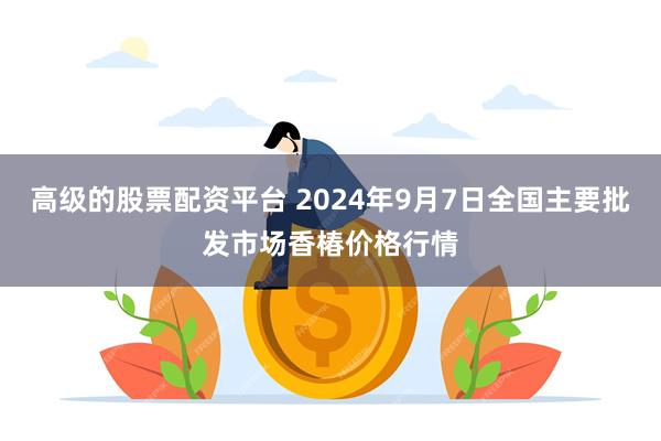 高级的股票配资平台 2024年9月7日全国主要批发市场香椿价格行情