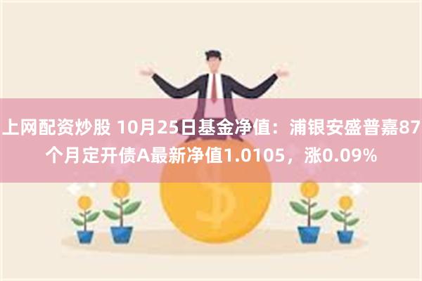 上网配资炒股 10月25日基金净值：浦银安盛普嘉87个月定开债A最新净值1.0105，涨0.09%