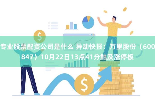 专业股票配资公司是什么 异动快报：万里股份（600847）10月22日13点41分触及涨停板