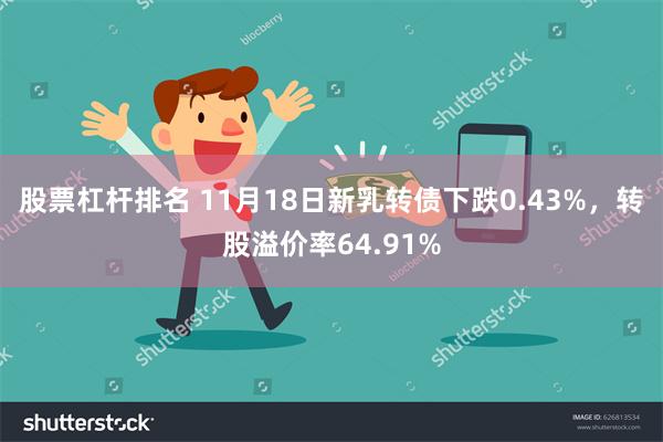 股票杠杆排名 11月18日新乳转债下跌0.43%，转股溢价率64.91%