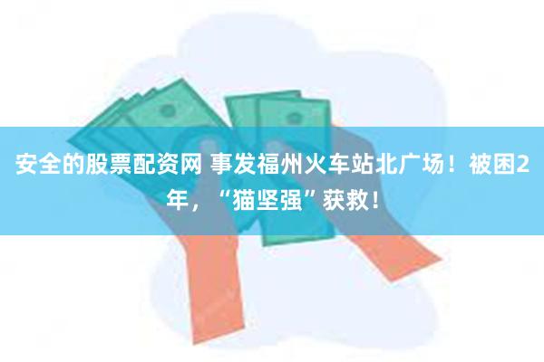 安全的股票配资网 事发福州火车站北广场！被困2年，“猫坚强”获救！