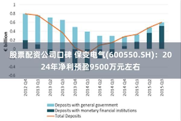 股票配资公司口碑 保变电气(600550.SH)：2024年净利预盈9500万元左右