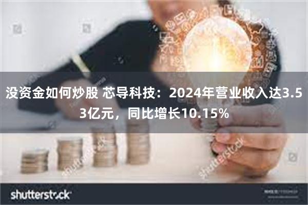 没资金如何炒股 芯导科技：2024年营业收入达3.53亿元，同比增长10.15%